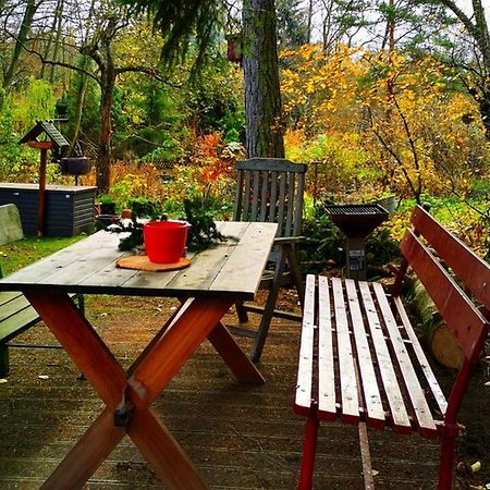Ferienwohnung An Der Lottenquelle فايمر المظهر الخارجي الصورة